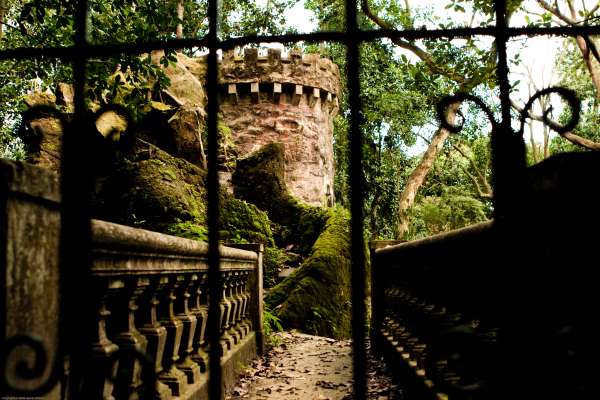 Gate and Turret